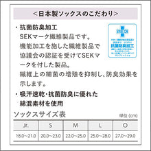 画像をギャラリービューアに読み込む, カラーボーダーソックス