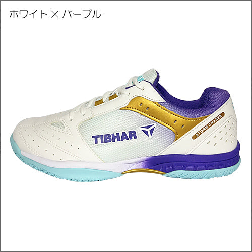 ストームチェイザー